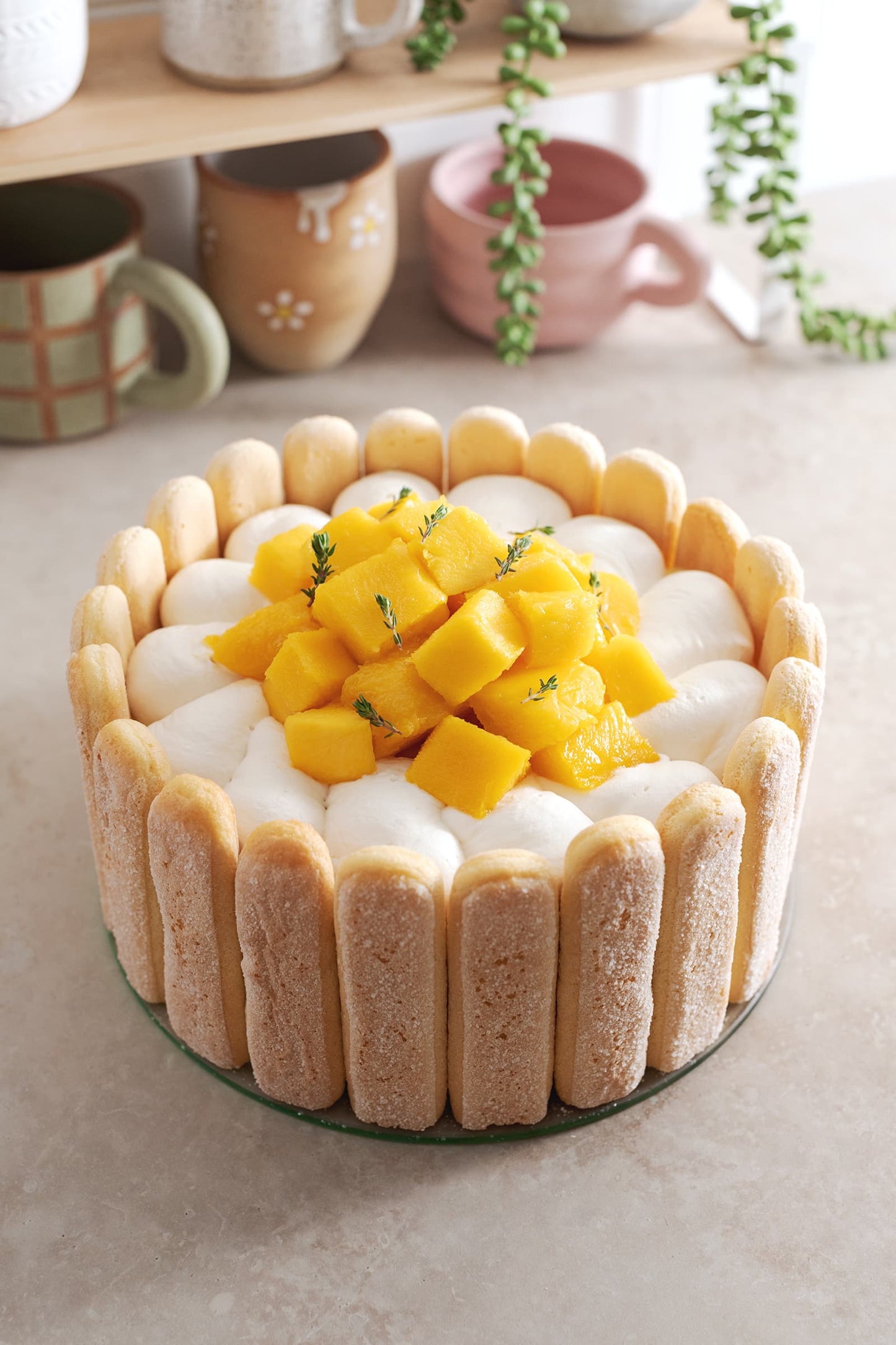 Tiramisu - Mango